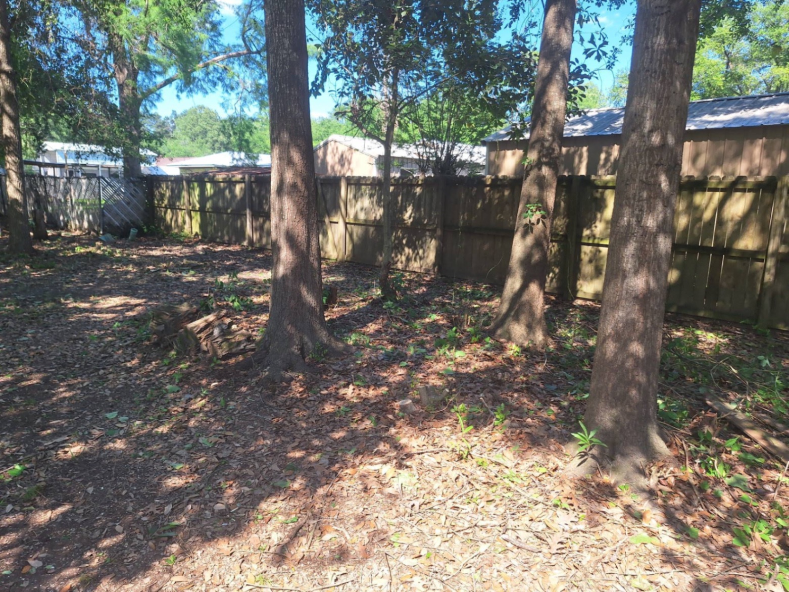 Lot Cleanup & Hauling — after